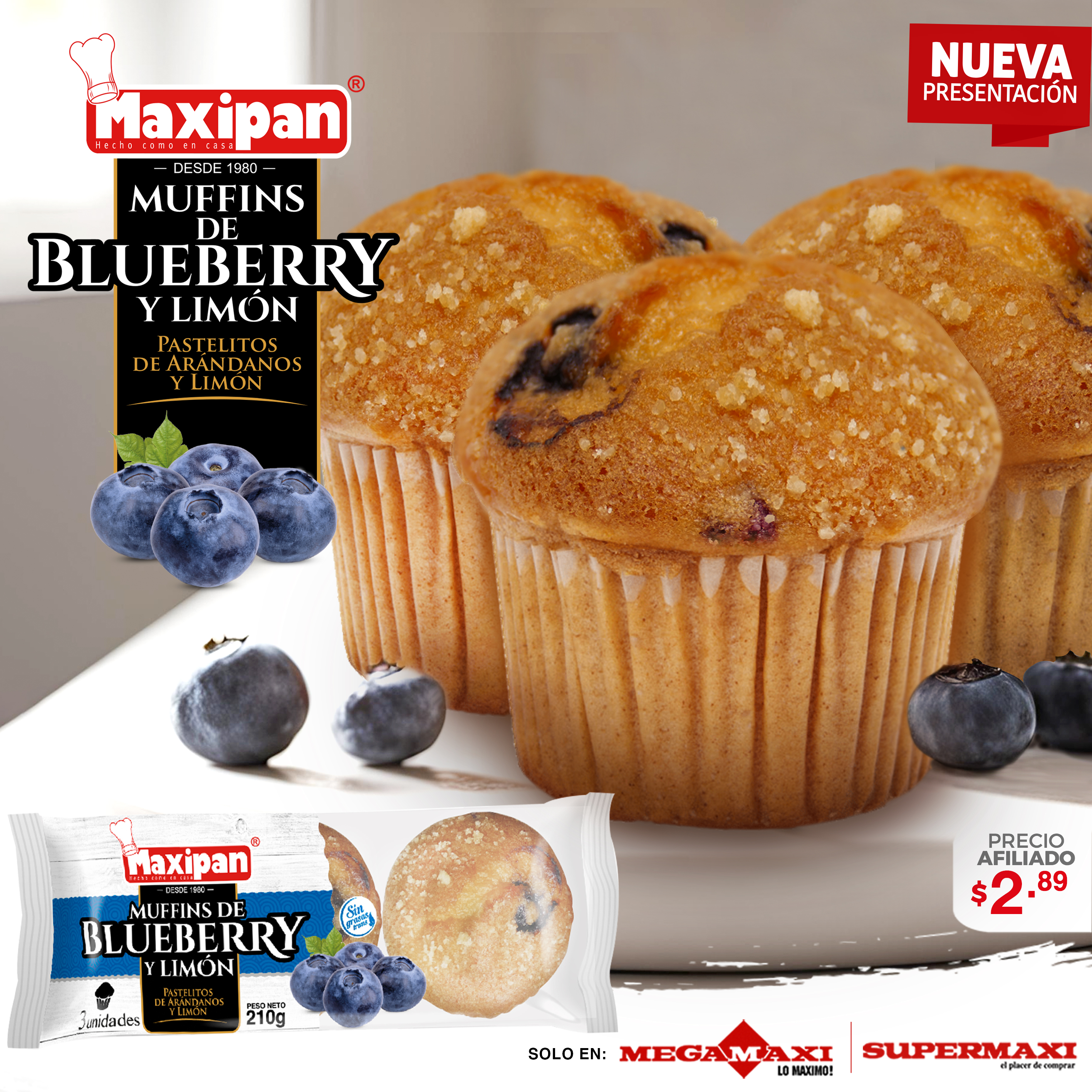 MUFFINS BLUEBERRY